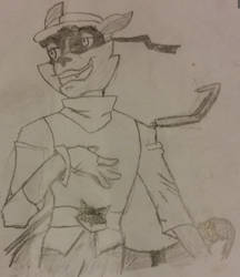 Sly cooper