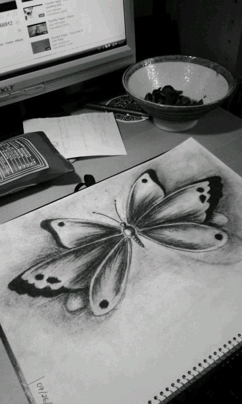 The Butterfly -2