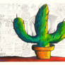 cactus in cantina 1