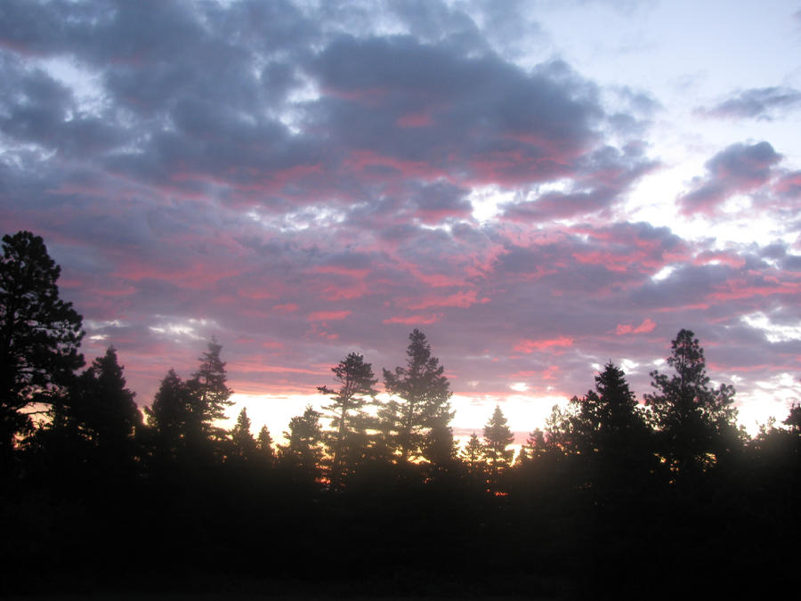 early rising 2 by theamateurphoto on DeviantArt