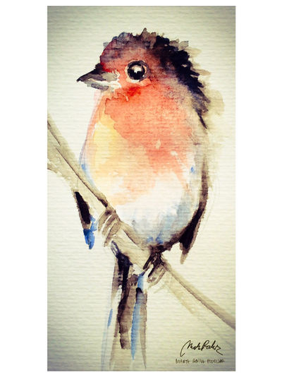European Robin by ISHAWEE