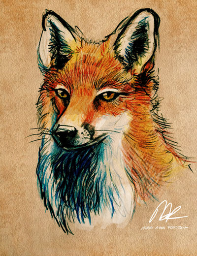 Fox Rouges Art Red Fox by ISHAWEE on DeviantArt