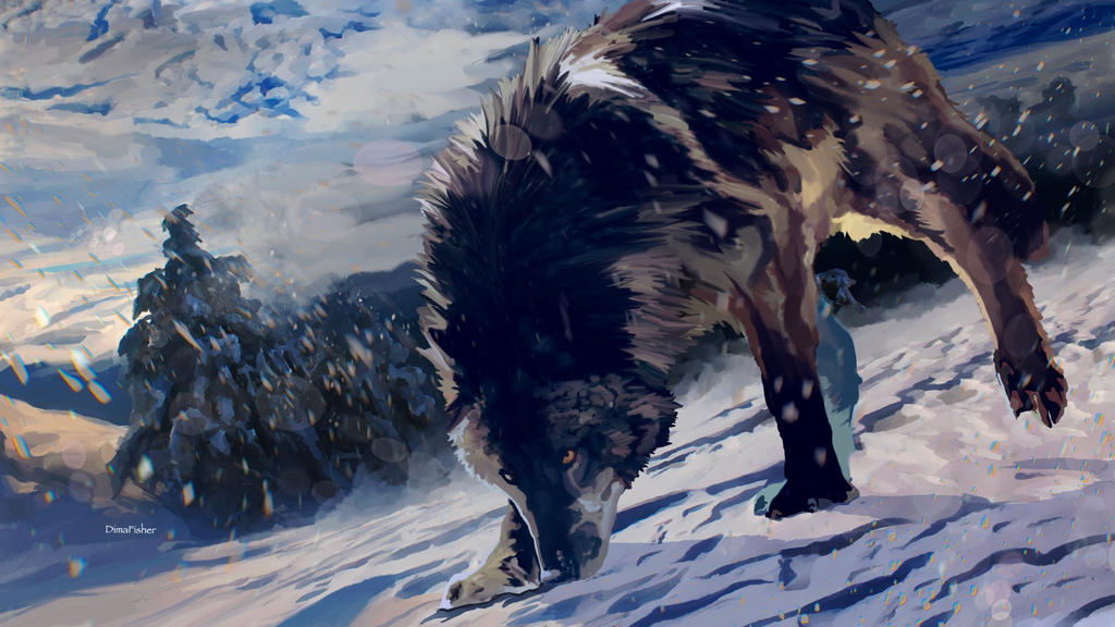 Wolf By DimaFisher On DeviantArt