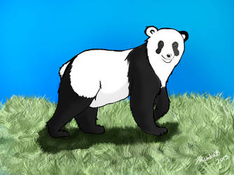 I Draw Pandas