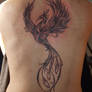 phoenix tattoo part 2