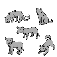 Wolf icon bases by Rafflesia-Arnoldi