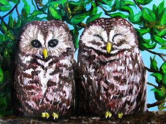 Owls