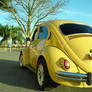 My Old beetle