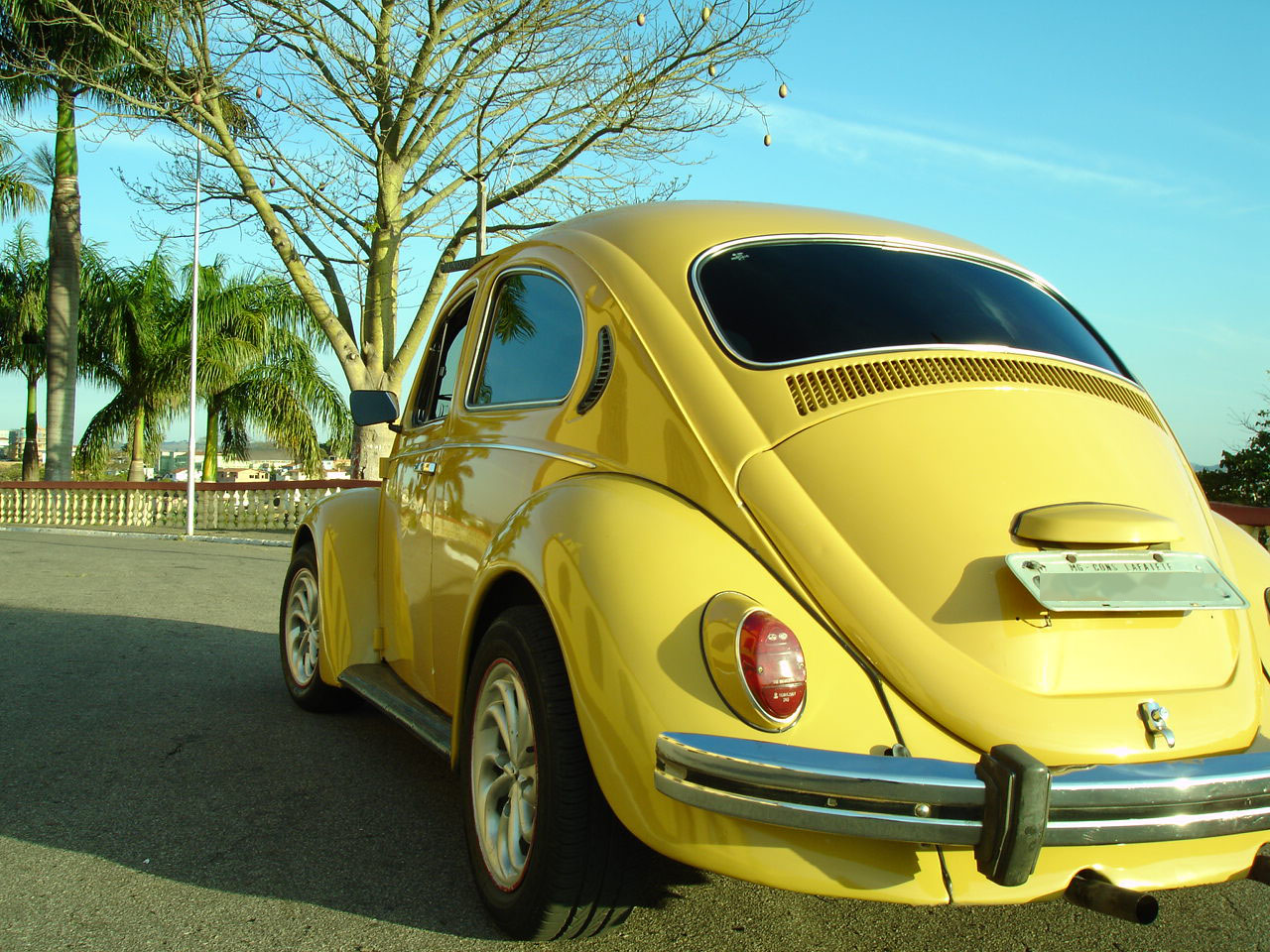 My Old beetle