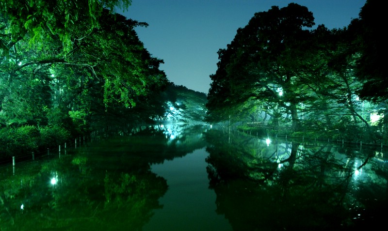 Nocturnal Lake