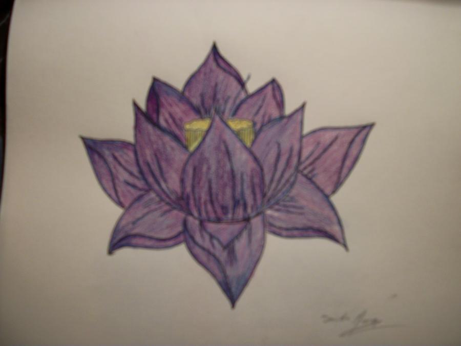 Lotus Flower