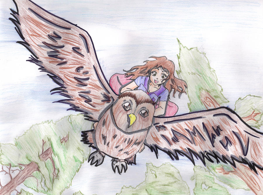 Owl Riding Tortoise owl ride by Charlottekate-chan on DeviantArt