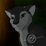 StarClan will lead my way 'New'