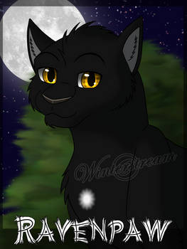 Headshot Serie: Ravenpaw