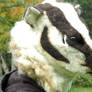 American Badger Fursuit Head