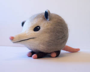 Opossum Ball
