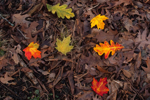 Autumn Leaf Hair Clips