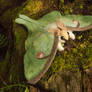 Forest Giant Luna Moth