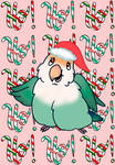 Christmas lovebird by xXxelyxXx