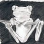 Monochromatic Frog