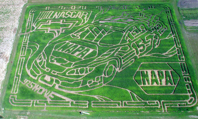 NASCAR Corn Maze