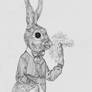 Smoking rabbit