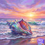 The Shell on the beach