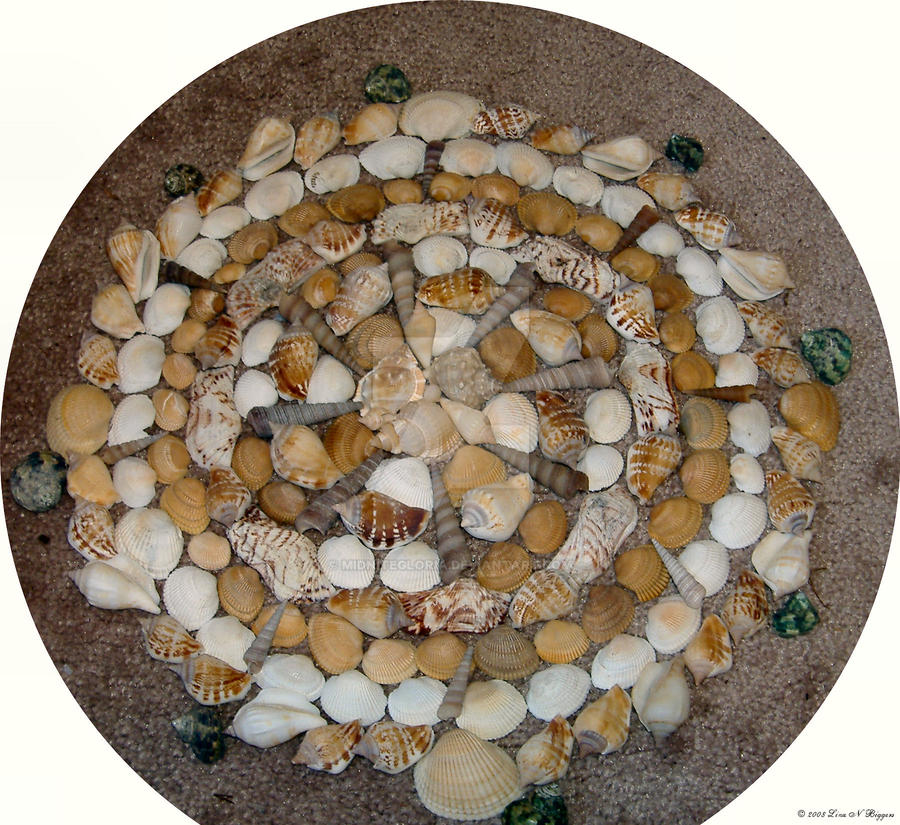 Shell Mandala by MidniteGloria on DeviantArt