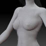 Female body model (Chain-mail View)