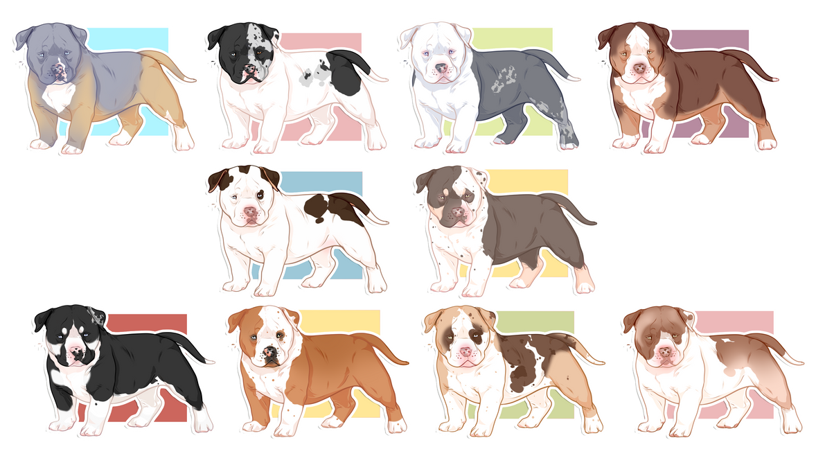 Bull Breed Adopts .:CLOSED:. by SOUTH-SIDE-ESTATES on DeviantArt