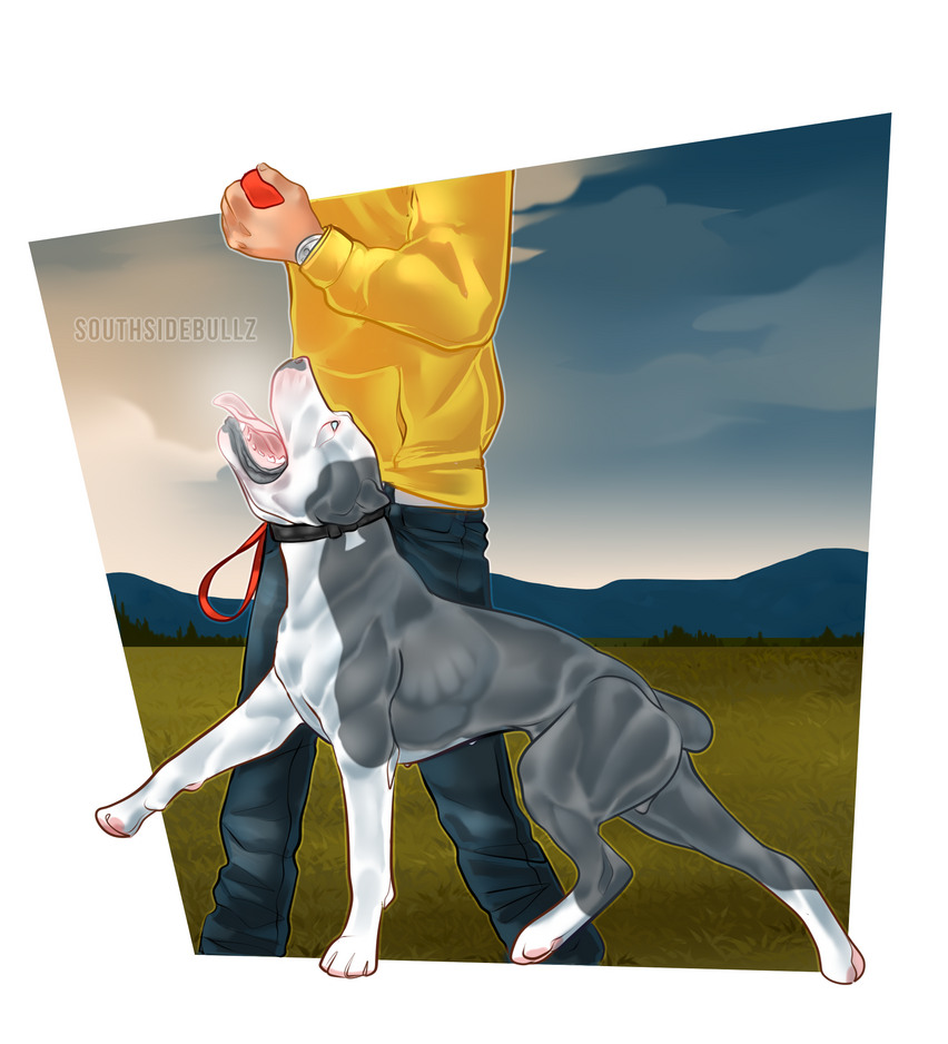 EYE CONTACT by SOUTH-SIDE-ESTATES on DeviantArt