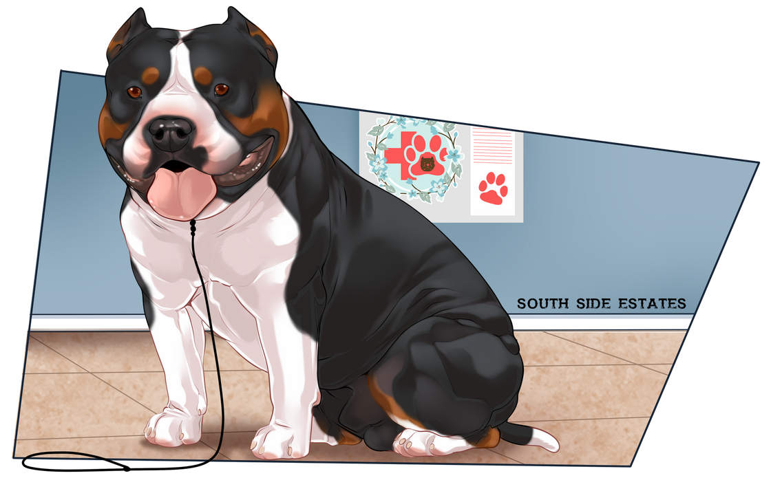 TBC HEALTH TEST PAO by SOUTH-SIDE-ESTATES on DeviantArt