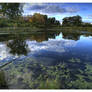 Little pond - big sky