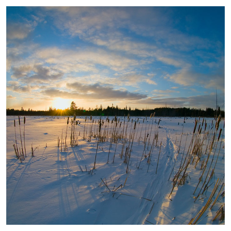 Ski trail