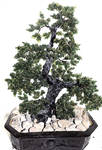 Bonsai Beaded Tree by WoolArtToys
