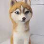 Needle felted Siberian Husky