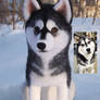 Ripley Needle felted Siberian husky dog