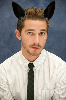 Shia Labeouf of Transformer