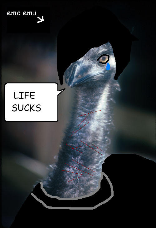 the emo emu