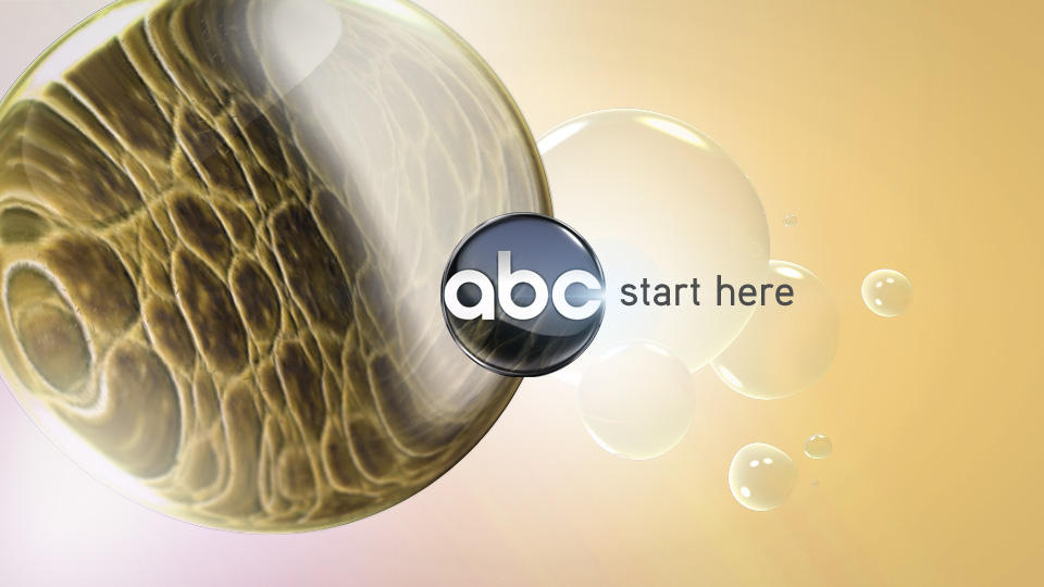 ABC Start Here (2007) Prototype #4 by SUCA28onDeviantart on DeviantArt