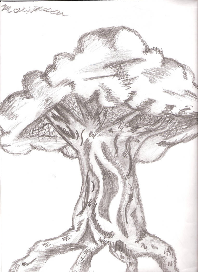 Graphite tree by RikusOreos on DeviantArt