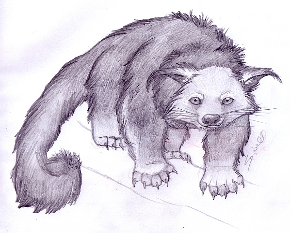 Binturong