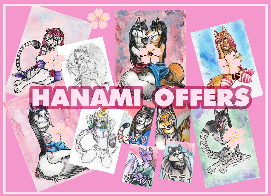 Hanami Offers 2017