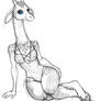 Long Neck and a One Piece