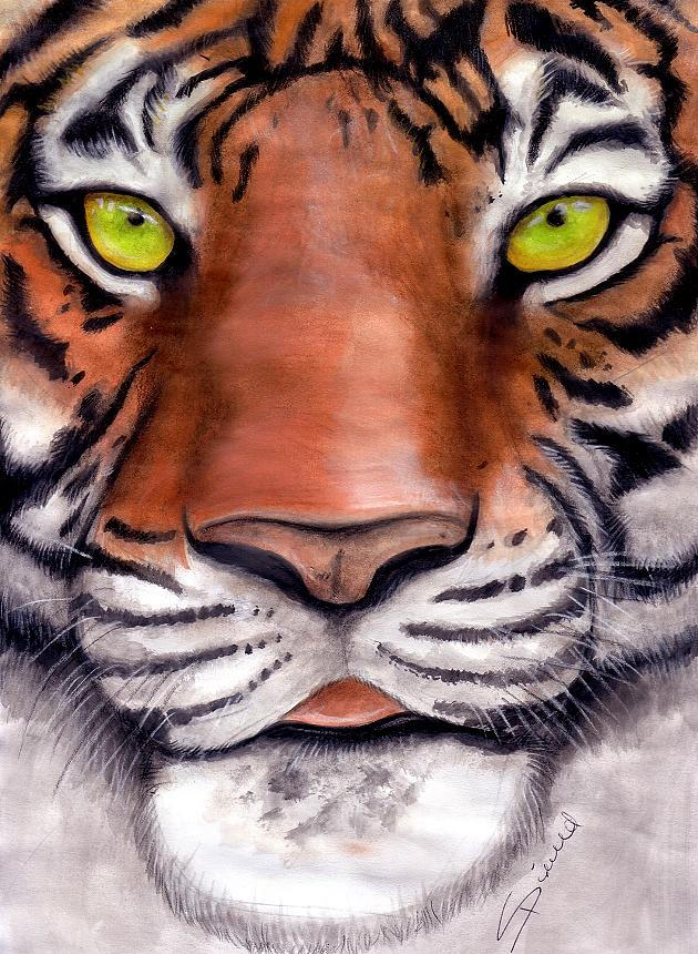 Tiger Tongue by shiverz on DeviantArt