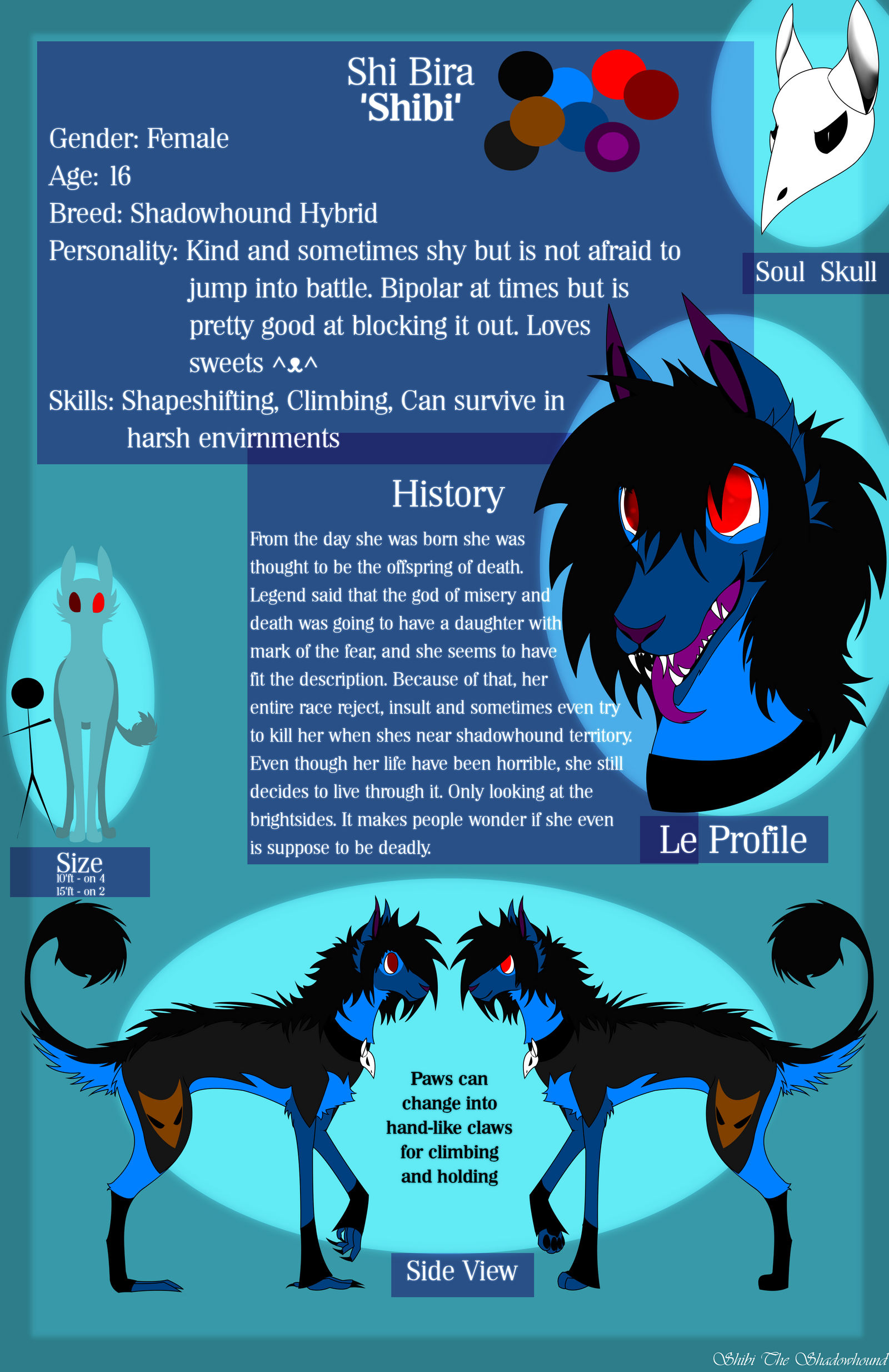 Shibi's ref 2013