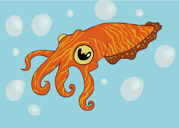 Cuttlefish by StrangeKangaroo on DeviantArt