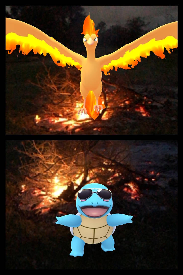 Pokemon Burning Rondo Help With A Burn-Off by Dark-Anmut on DeviantArt
