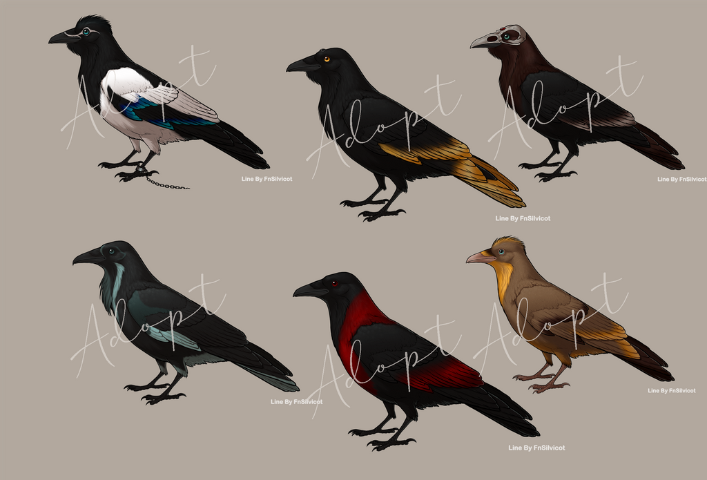 Raven Variations Raven Adopts by blue15 on DeviantArt
