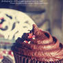 Love CupCake